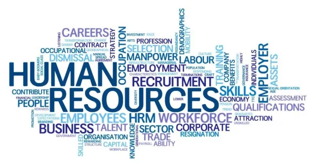 Are HR Consultants in Demand?