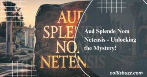 Aud Splende Nom Netensis - Unlocking the Mystery!