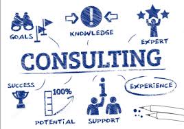 What Does a Human Resources Consultant Do?