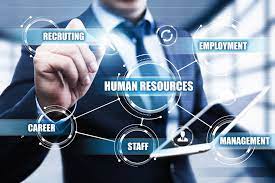 What Does a Human Resources Consultant Do?