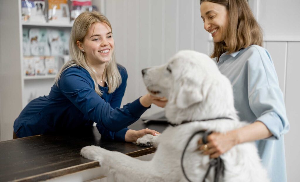 Why Veterinary Specialty Services Is a Game-Changer for Pet Owners?